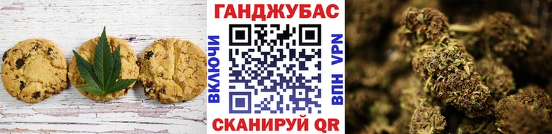 ОМГ ОМГ ONION  продажа наркотиков  Камышин  Еда ТГК марихуана 