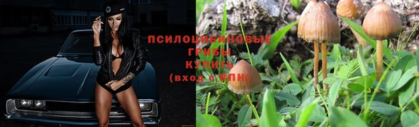 не бодяженный Россошь