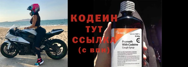 мдпв Инсар