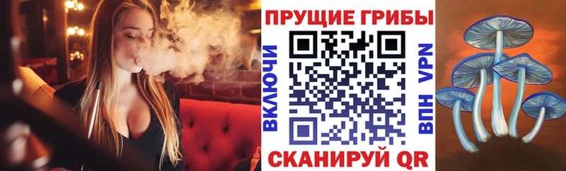 Галлюциногенные грибы GOLDEN TEACHER  наркота  Камышин 