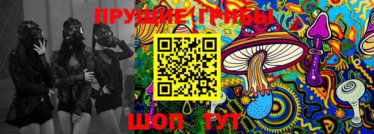 Псилоцибиновые грибы Magic Shrooms Камышин