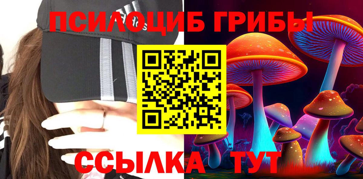 магазин    Камышин  Псилоцибиновые грибы прущие грибы 