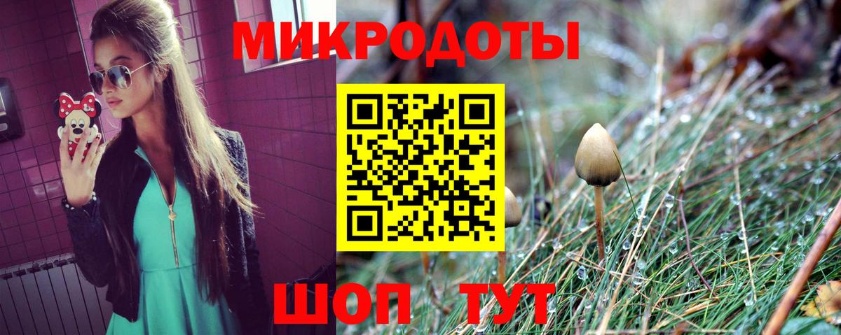 Камышин  Галлюциногенные грибы мухоморы  Галлюциногенные грибы Magic Shrooms  Вход с VPN 