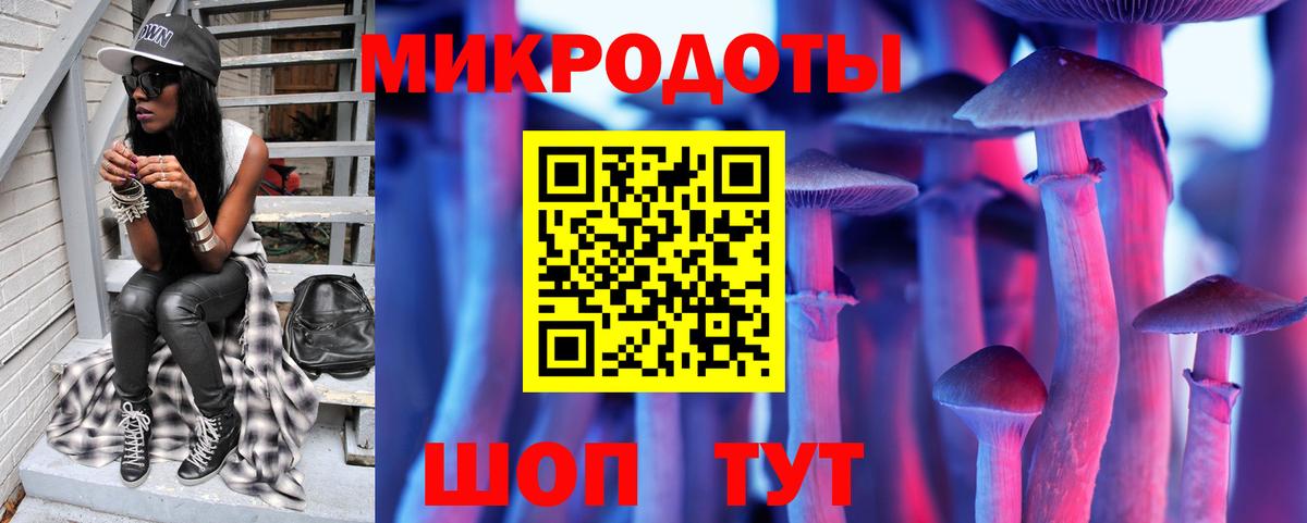 Псилоцибиновые грибы GOLDEN TEACHER Камышин